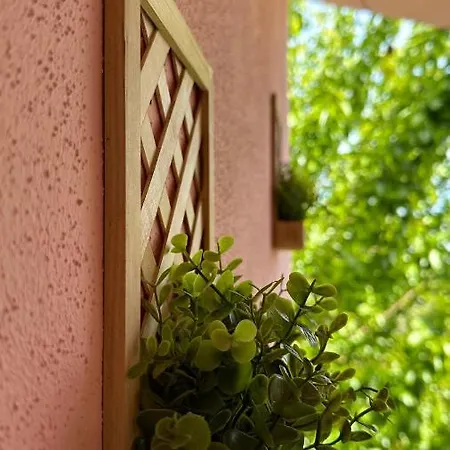 Murva بريمونتيرا